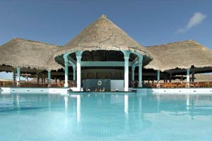 Swim Up Bars
